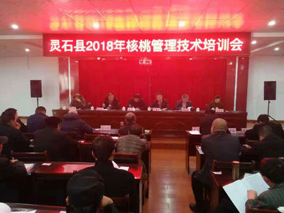 圍繞主導產業，開展精準技術培訓，賦能鄉鎮經濟高質量發展