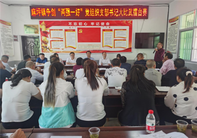 旬陽市麻坪鎮(zhèn) “五鎮(zhèn)五好”聚合力 鄉(xiāng)村振興開新局